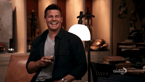 davidboreanazagenteseeleybooth
