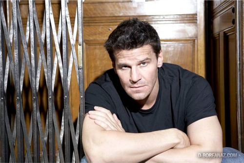davidboreanazagenteseeleybooth