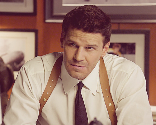 davidboreanazagenteseeleybooth