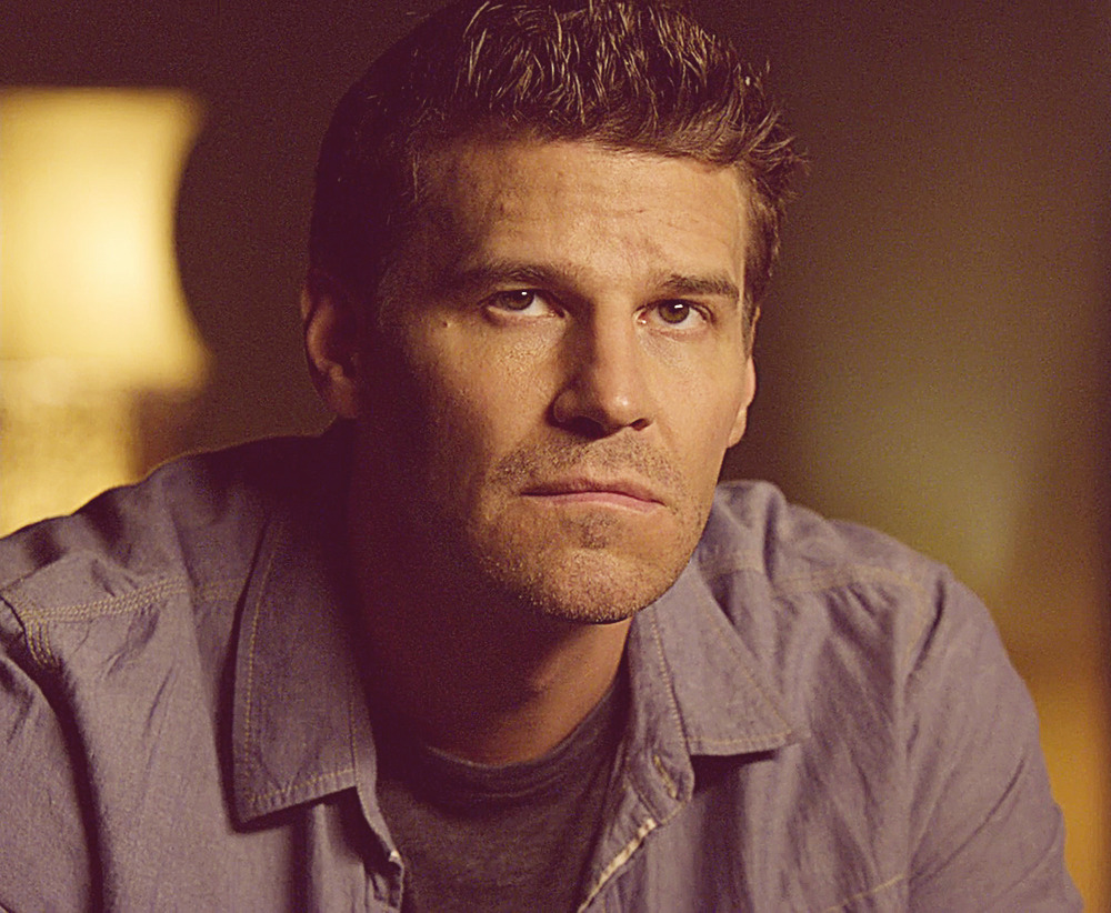 davidboreanazagenteseeleybooth