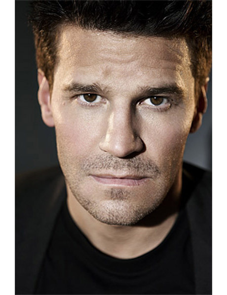 davidboreanazagenteseeleybooth
