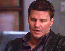 davidboreanazagenteseeleybooth