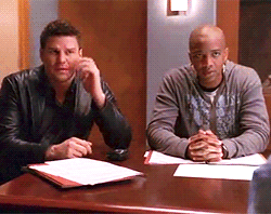davidboreanazagenteseeleybooth