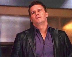 davidboreanazagenteseeleybooth