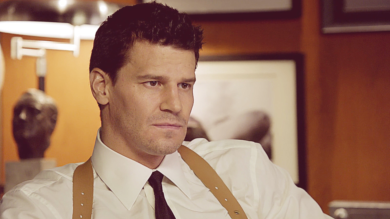 davidboreanazagenteseeleybooth