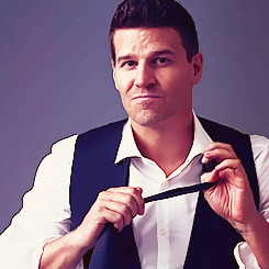 davidboreanazagenteseeleybooth