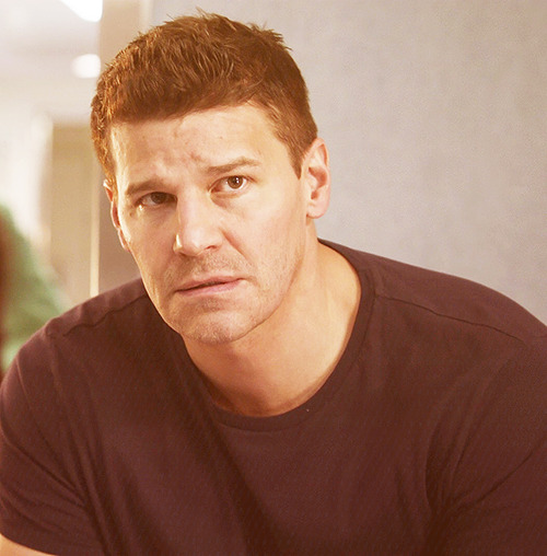 davidboreanazagenteseeleybooth
