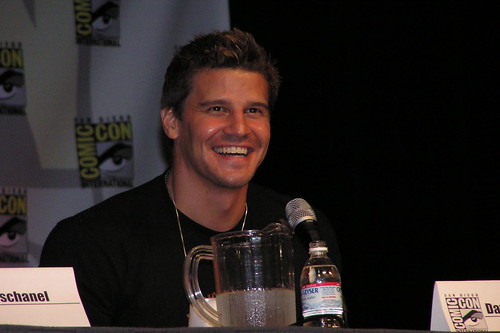 davidboreanazagenteseeleybooth