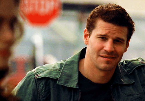 davidboreanazagenteseeleybooth