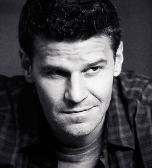 davidboreanazagenteseeleybooth