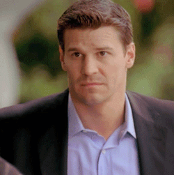 davidboreanazagenteseeleybooth