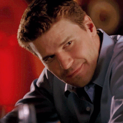 davidboreanazagenteseeleybooth