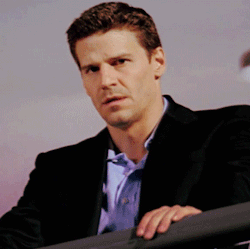 davidboreanazagenteseeleybooth