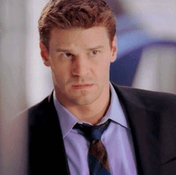 davidboreanazagenteseeleybooth