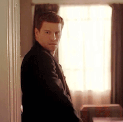 davidboreanazagenteseeleybooth