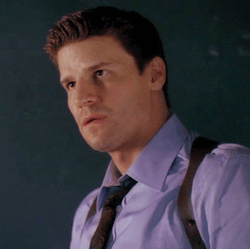 davidboreanazagenteseeleybooth