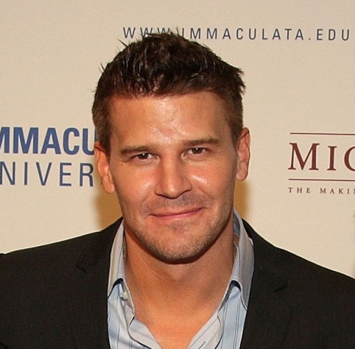 davidboreanazagenteseeleybooth