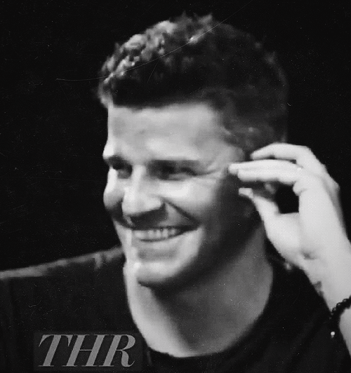 davidboreanazagenteseeleybooth