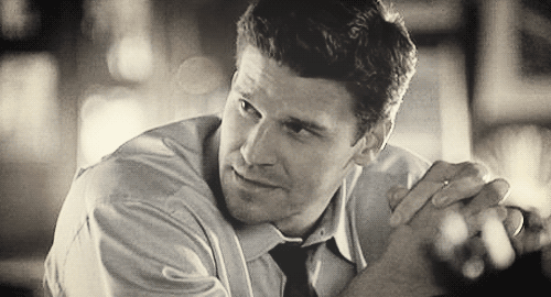 davidboreanazagenteseeleybooth