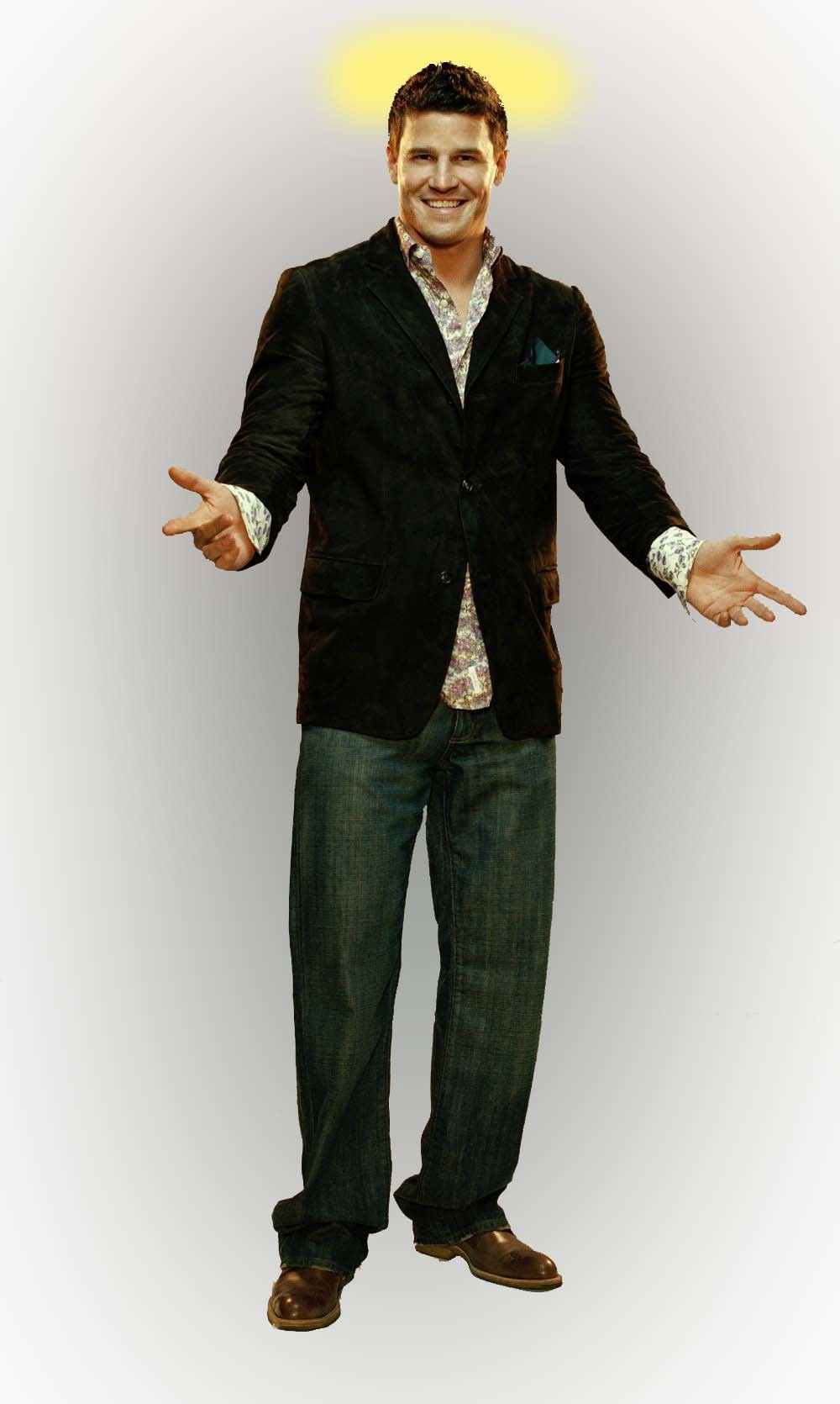 davidboreanazagenteseeleybooth