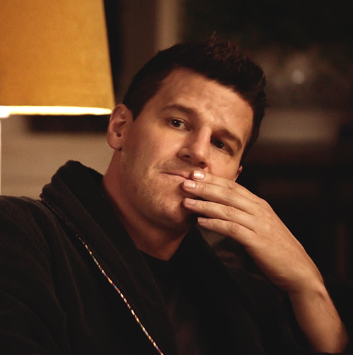 davidboreanazagenteseeleybooth