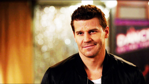 davidboreanazagenteseeleybooth