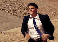 davidboreanazagenteseeleybooth