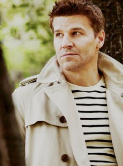 davidboreanazagenteseeleybooth