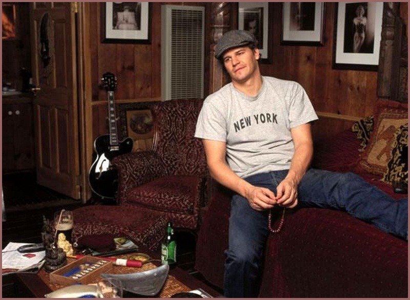 davidboreanazagenteseeleybooth