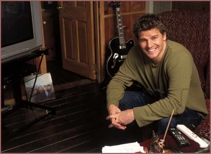 davidboreanazagenteseeleybooth