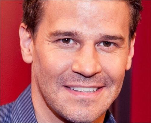davidboreanazagenteseeleybooth