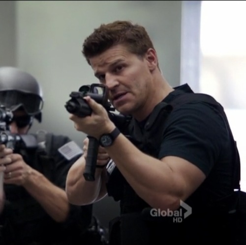 davidboreanazagenteseeleybooth
