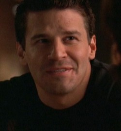 davidboreanazagenteseeleybooth