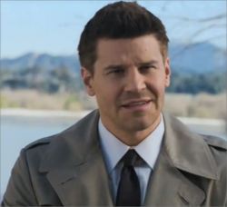 davidboreanazagenteseeleybooth