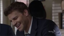 davidboreanazagenteseeleybooth