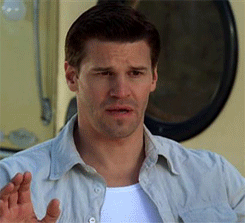 davidboreanazagenteseeleybooth