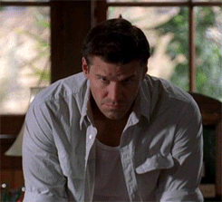 davidboreanazagenteseeleybooth