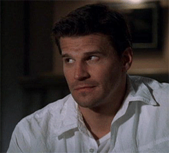 davidboreanazagenteseeleybooth