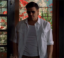 davidboreanazagenteseeleybooth