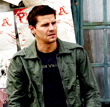 davidboreanazagenteseeleybooth