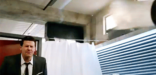 davidboreanazagenteseeleybooth