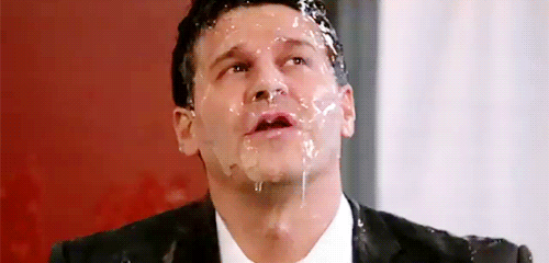 davidboreanazagenteseeleybooth