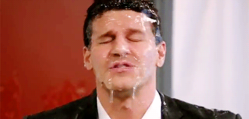 davidboreanazagenteseeleybooth