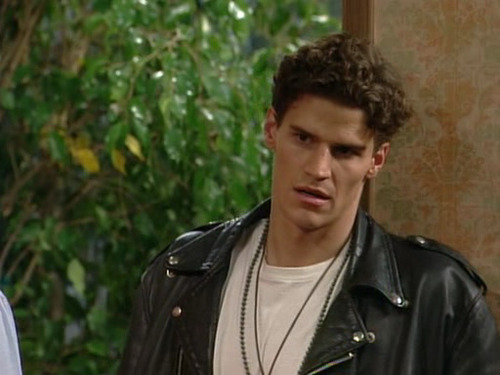 davidboreanazagenteseeleybooth