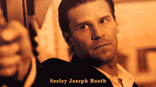 davidboreanazagenteseeleybooth