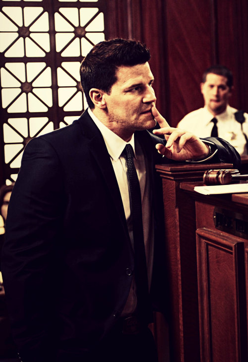 davidboreanazagenteseeleybooth