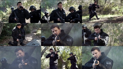 davidboreanazagenteseeleybooth