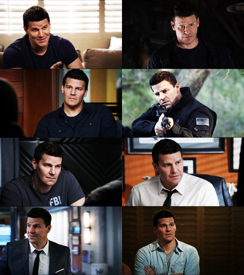 davidboreanazagenteseeleybooth