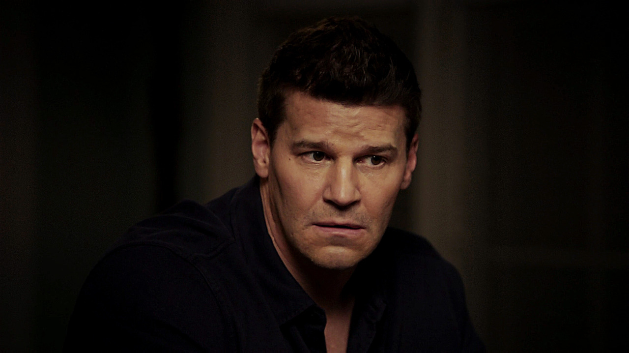 davidboreanazagenteseeleybooth