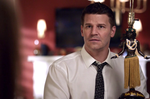 davidboreanazagenteseeleybooth